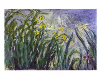 Les iris - Claude Monet Paintings